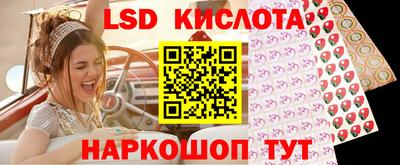 винт Новозыбков
